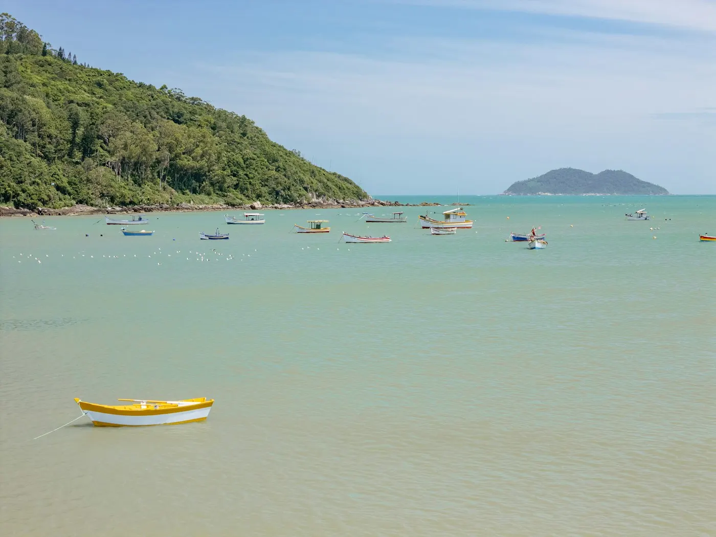 Barcos ancorados em água calma e verde da baía, com morro coberto de mata