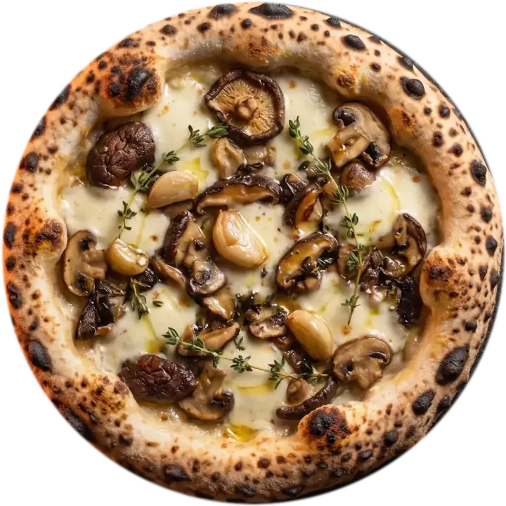 Pizza branca de cogumelos vista de cima